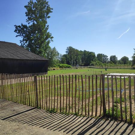 Villa 'T Dagwant à Grammont Extérieur photo