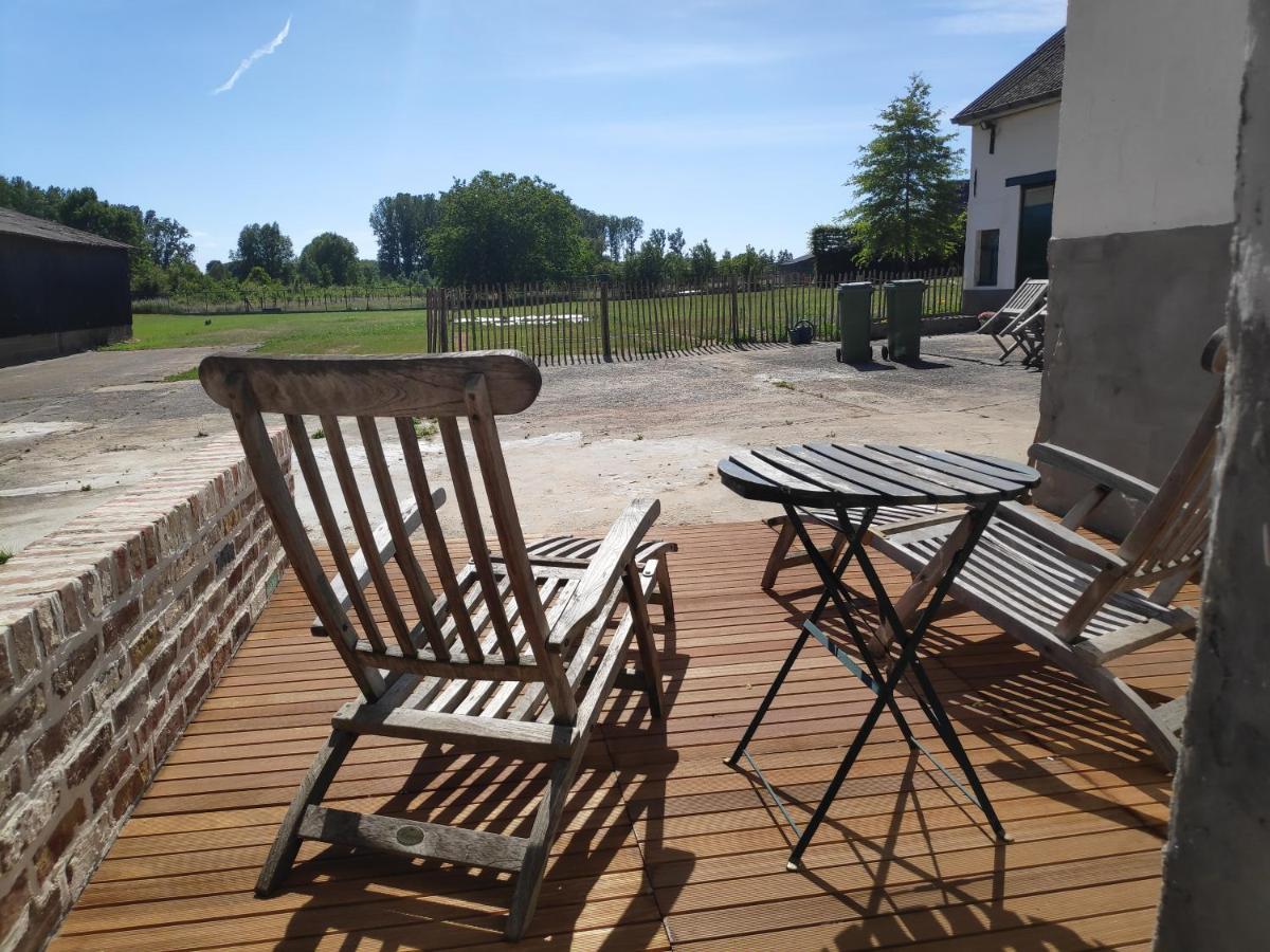Villa 'T Dagwant à Grammont Extérieur photo